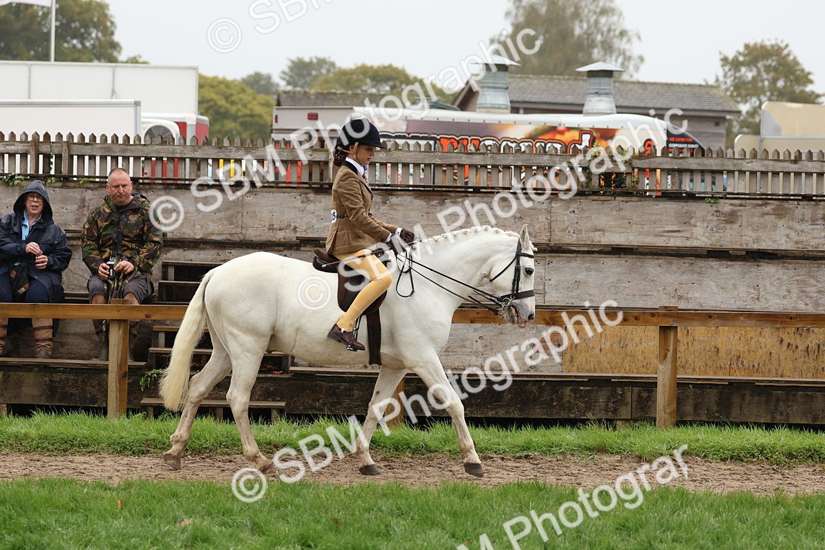 SBM_72975 - S63 Show Pony & Show Hunter Pony Ridden