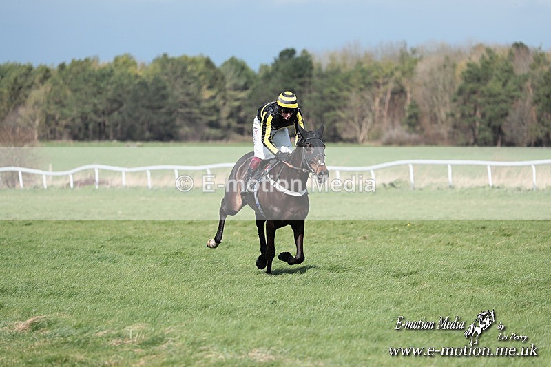 PtP 230324 272 - Tedworth Hunt PtP Larkhill Raccourse 23rd March 2024