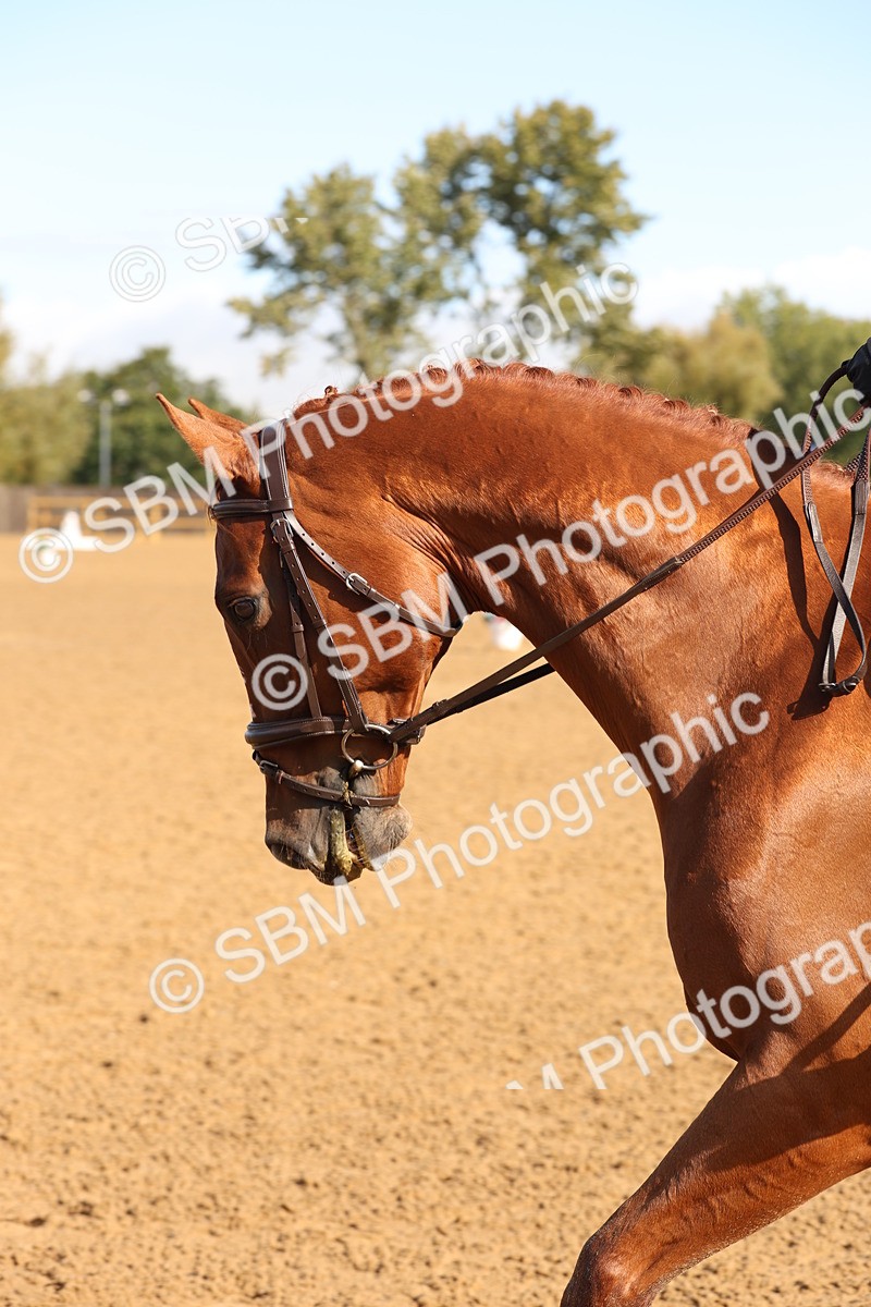 SBM_37594 - D18 - Grand Tour Championship Novice 2