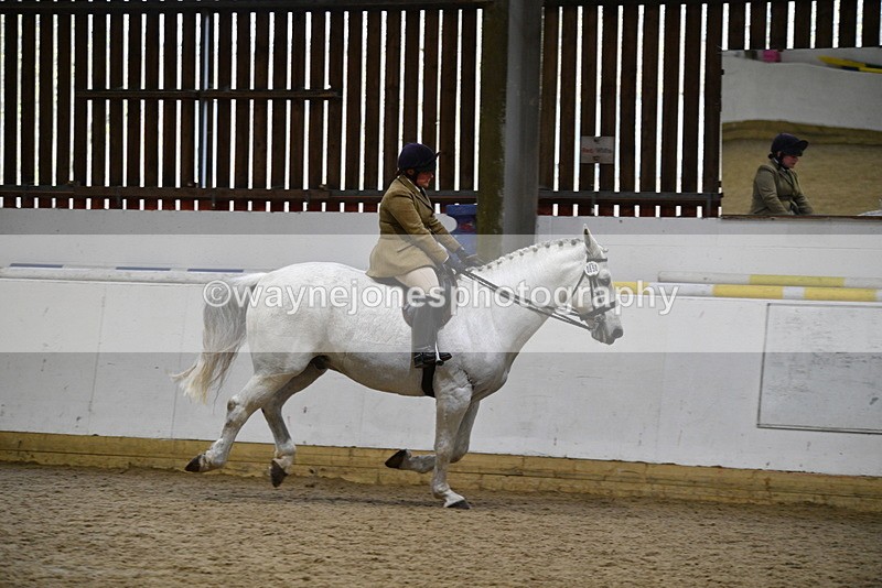WJ5_9059 - Class 15 Ridden Show Horse