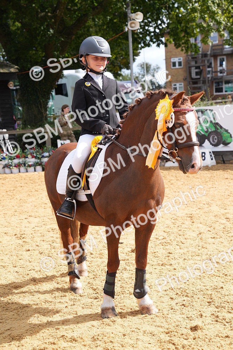 SBM_64560 - J2 - Mini Tour Junior Pony 30cm Championship