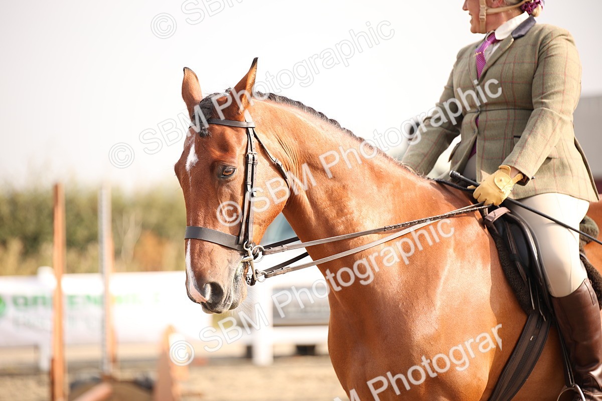 SBM_10272 - Class 402 Riding Club Horse