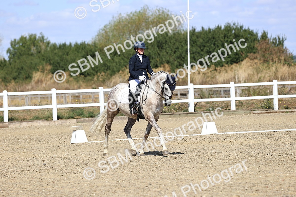 SBM_013919