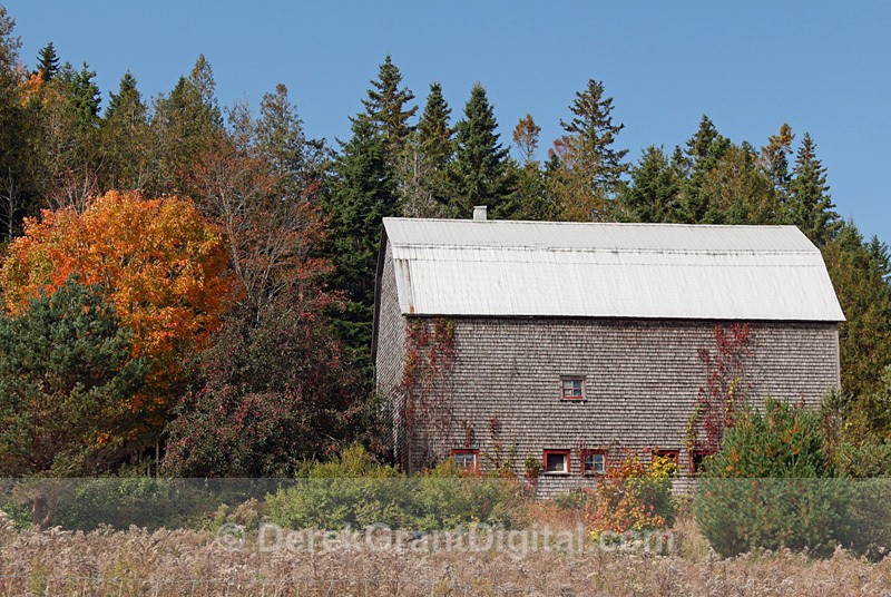 New Brunswick Autumn Foliage - Old Barn - Autumn Festival