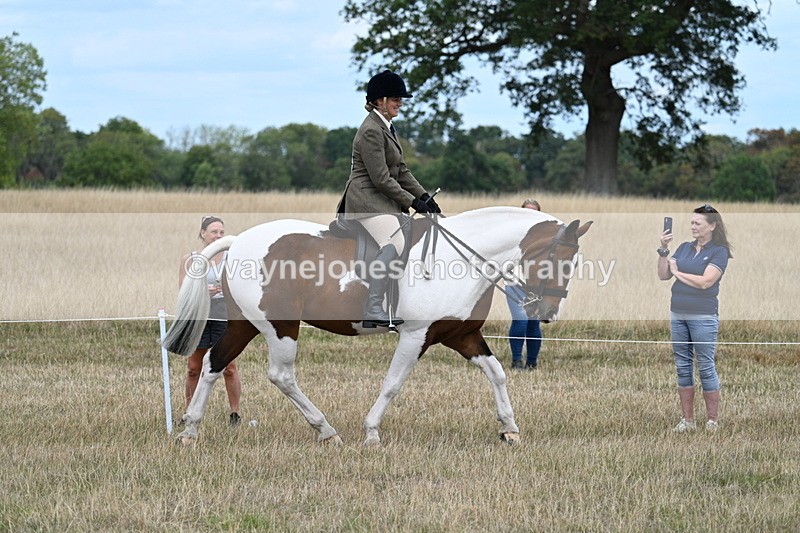 WJ7_4854 - Class 12 Ridden Cob