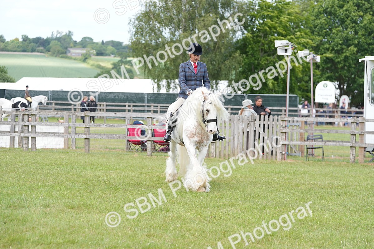 SBM_17185 - Class 107-108 - LIHS BSPS Performance Coloured Horse Pony