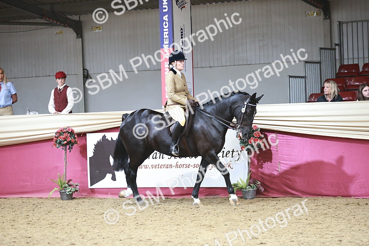 SBM_08792 - Class 12R - Regional Ridden Pre-Vet