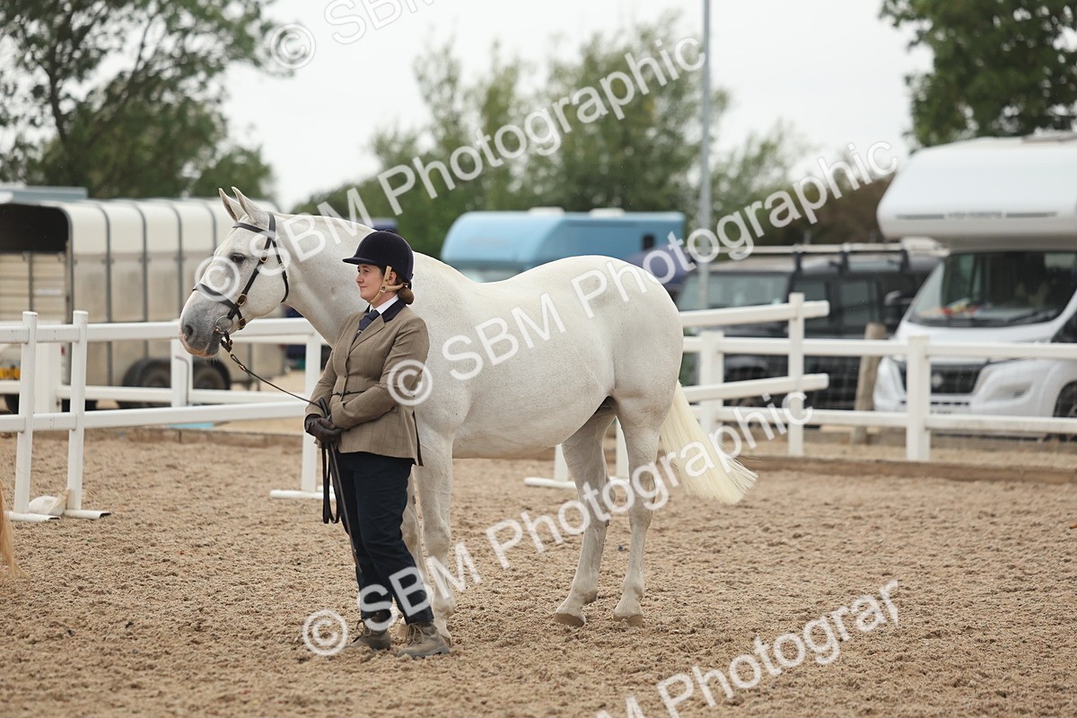SBM_19427 - Class 317 - IH Pure Bred Horse-Pony
