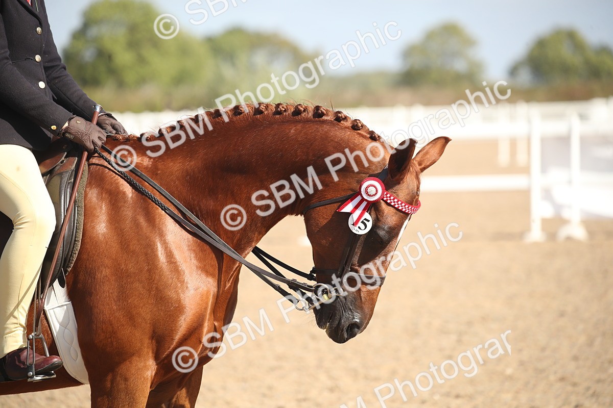 SBM_22943 - Class 603 - 2026 - Ridden Pre Vet