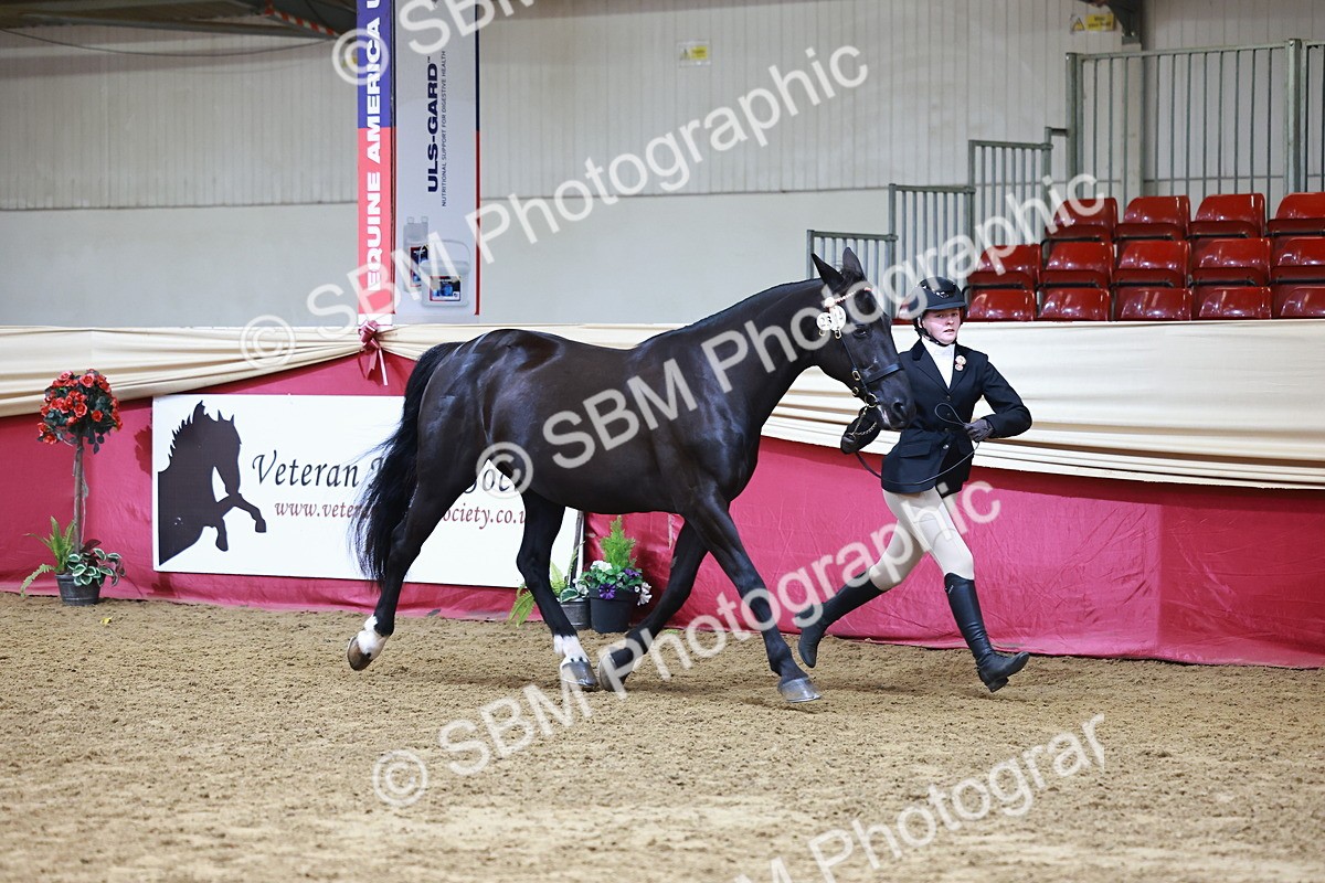 SBM_22239 - Class 902 - Supreme Final - IH Diamond