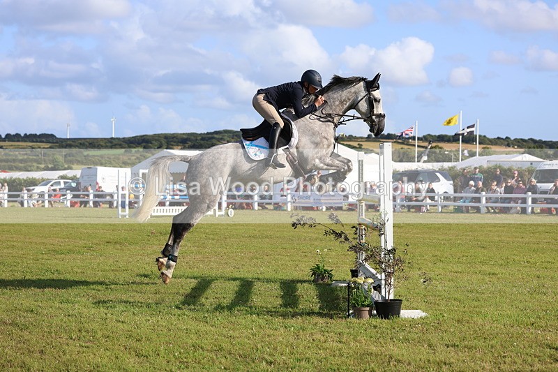 3E7A4406 - Class C: Showjumping Senior Foxhunter