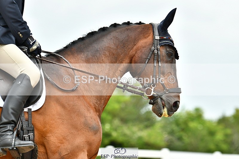 230701A-104518-04601 - Cls 2 Prelim 19