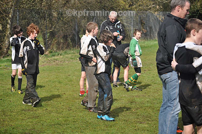  - sports  rugby soccer gaelic pics