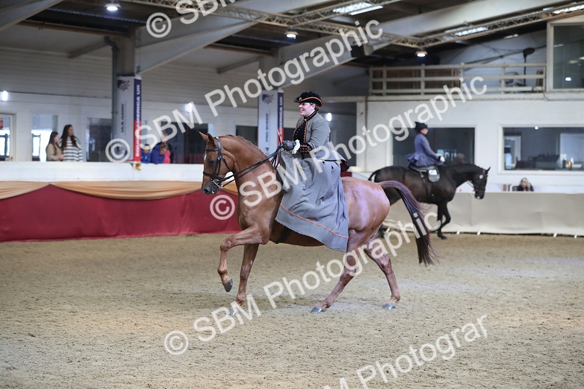 SBM_11574 - Class 105 Ridden Costume- Side Saddle