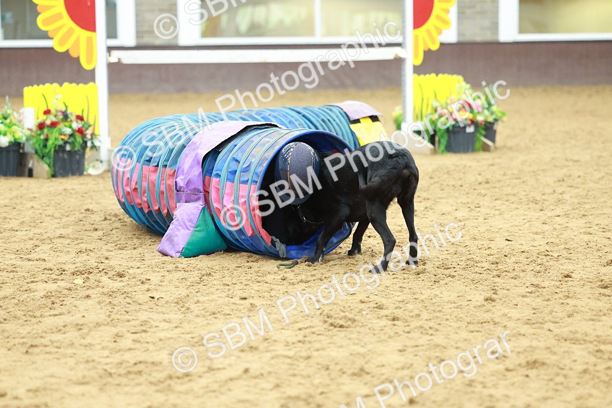 SBM_002582 - Class 3 - Horse & Hound (60cm)