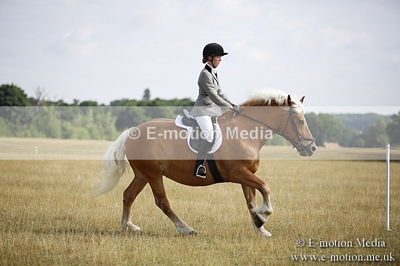 _C7A9280 - BVRC Show 2018 Ring 1