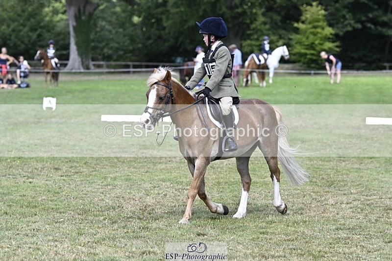 250822A-125008-21925 - DR 12.00 to End