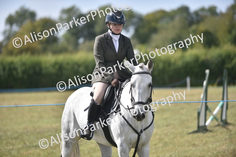 20260906-2693 - Class 13 - Working Hunter Horse or Pony