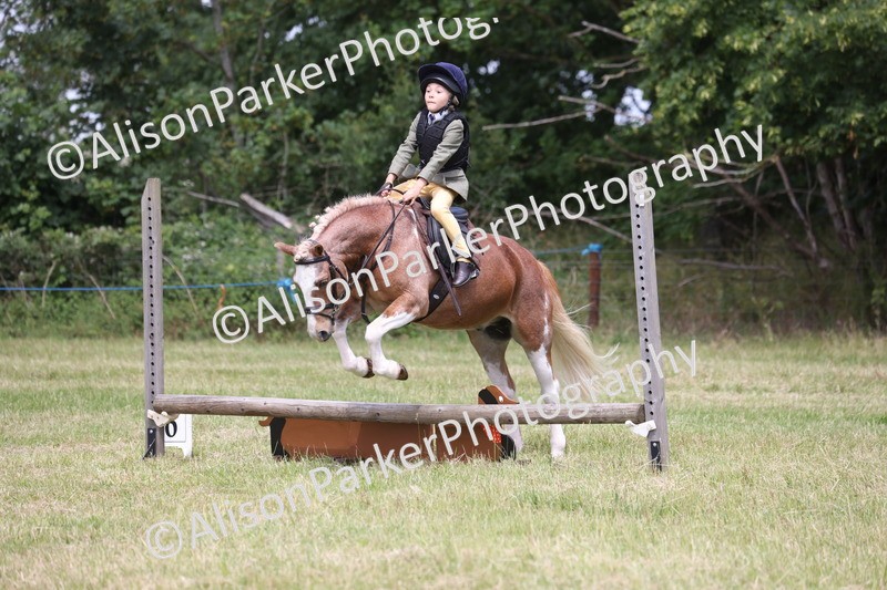 20260614-2038 - Class 21 - Novice Working Hunter Pony