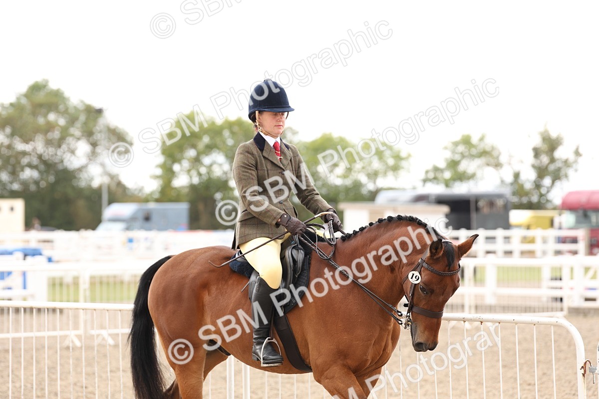 SBM_04170 - Class 54 - Riding Club Horse/Pony