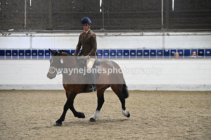 WJ7_3990 - Class 17 Ridden Cob