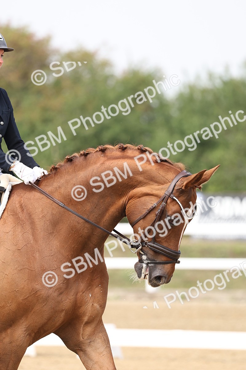 SBM_007193 - Class 9 - FEI INT I - 13.37-14.33