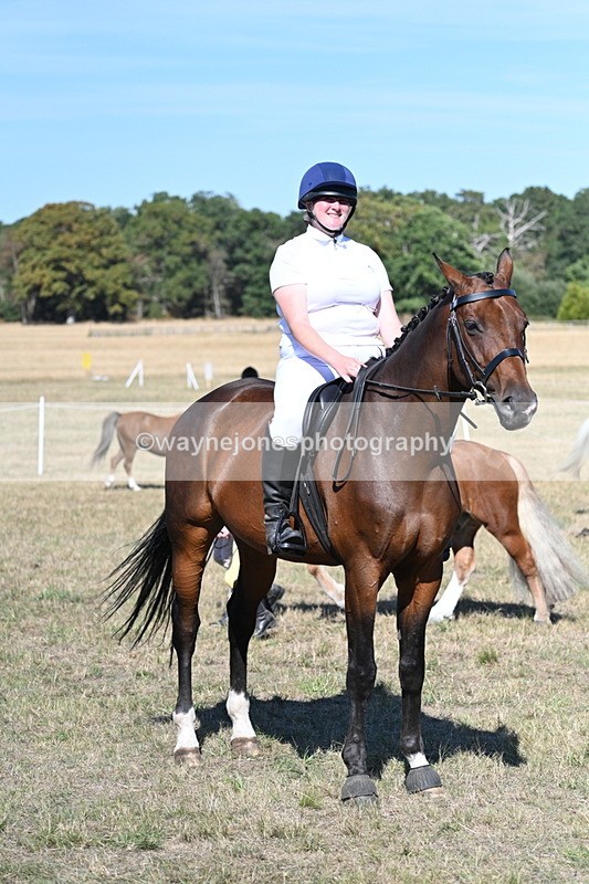 WJ7_1594 - Class 42 Most Handsome Gelding
