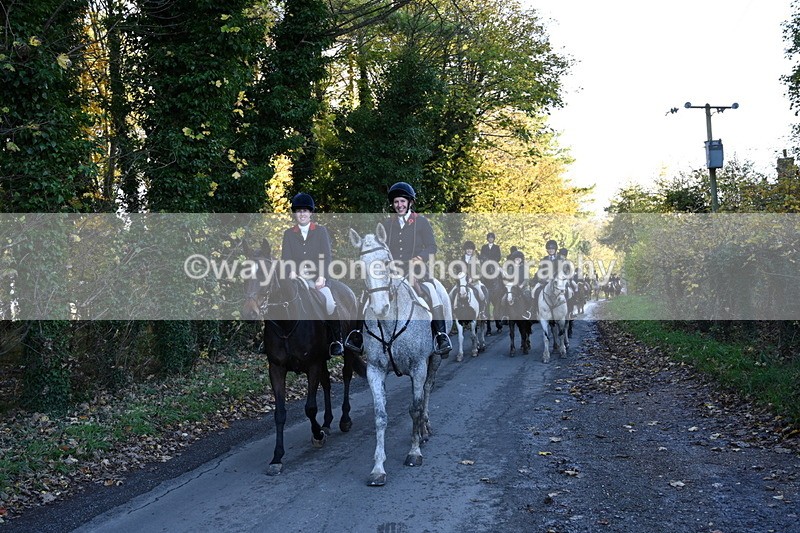 WJ6_9684 - Walk Home