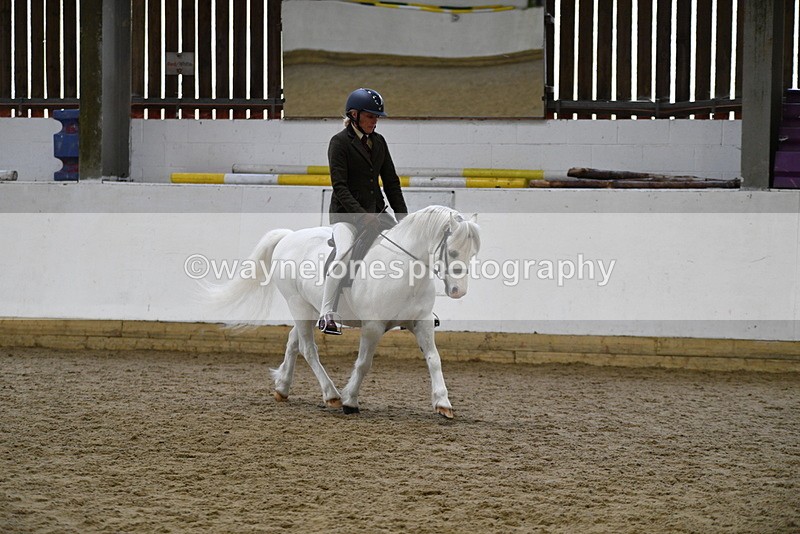 WJ5_6259 - Class 9 Ridden Veteran