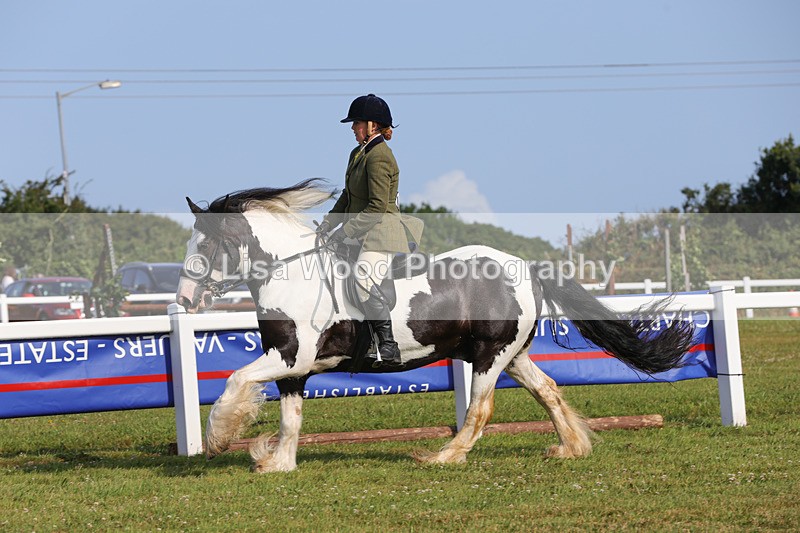 1X9A3361 - Class 28: Ridden Native/Trad Coloured Pony