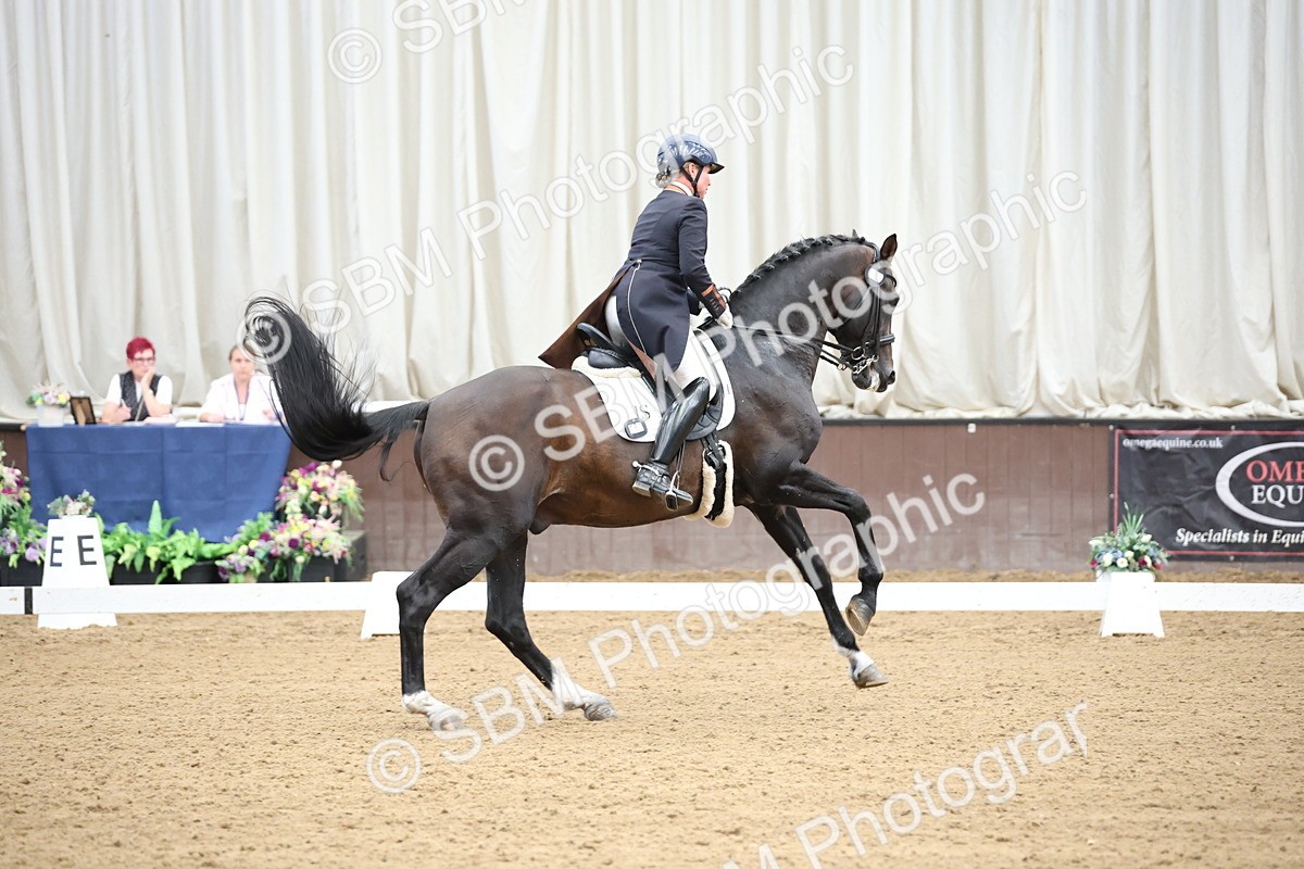 SBM_004417 - Class 9 - FEI Inter 1 Gold - 15.55-16.43