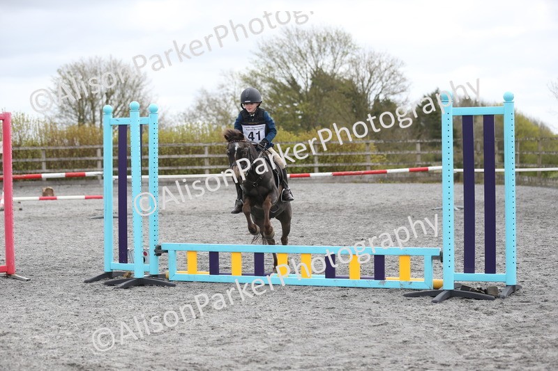20260412-0577 - Show Jumping