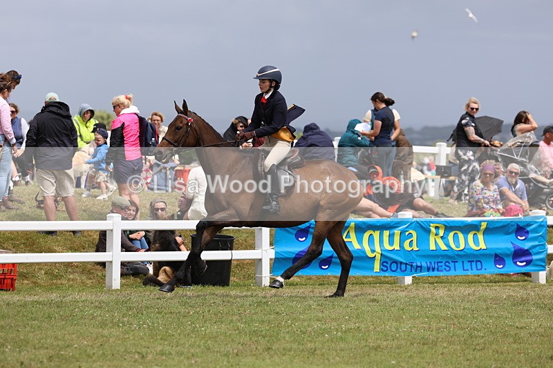 3E7A2367 - Class 11: Retraining of Racehorse