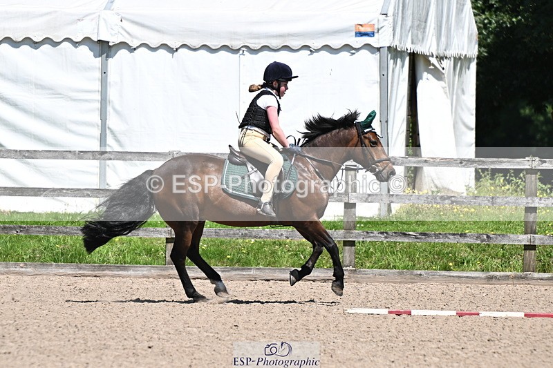 240729B-122726-02675 - Showjumping Competition