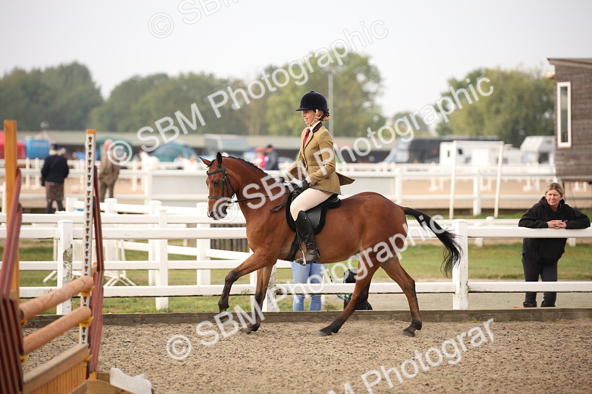 SBM_09782 - Class 401 Riding Club Pony