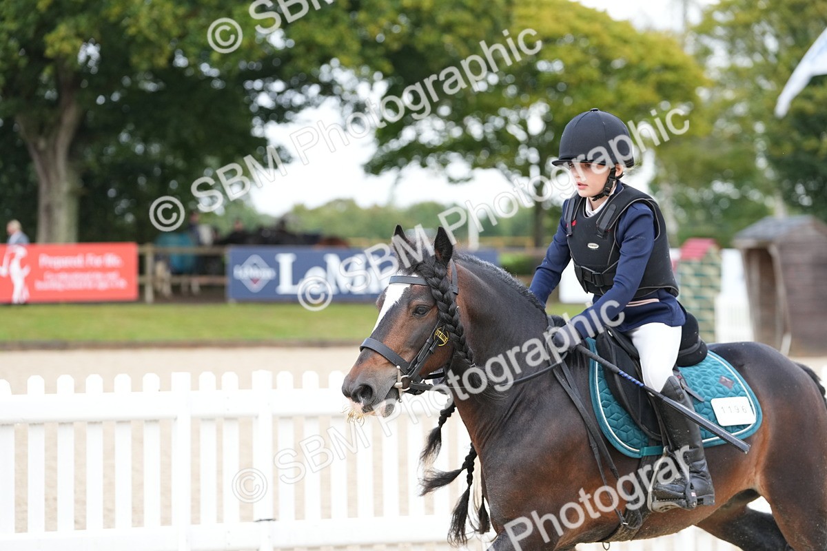 SBM_39648 - J6 - Junior Pony 55cm Championship
