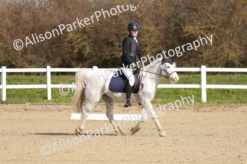 20260314-1113 - DR2 - Intro 3