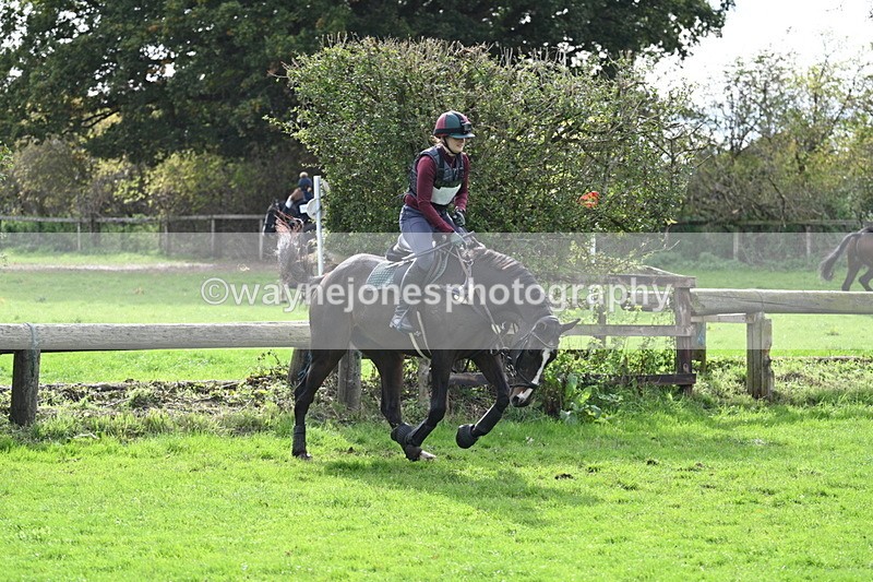 WJ7_9229 - Time 12:55 to 13:13