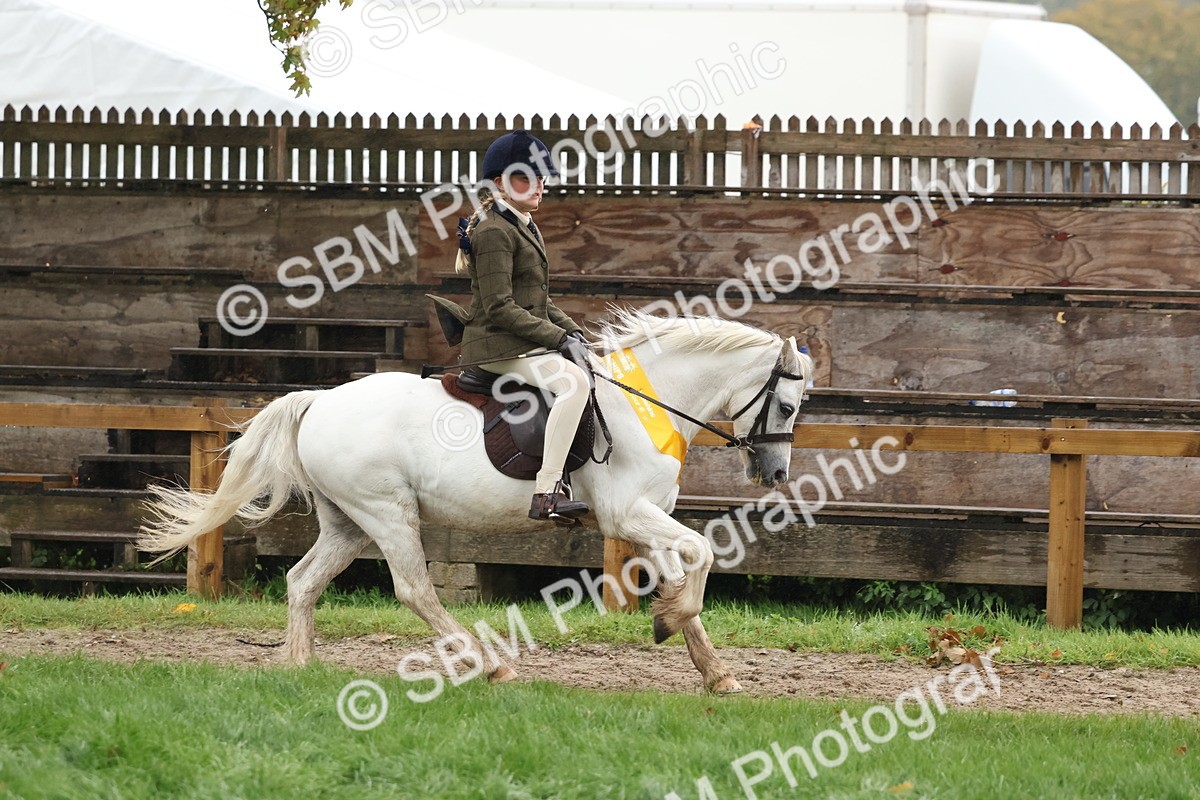 SBM_73121 - Ridden Pony Supreme Championship