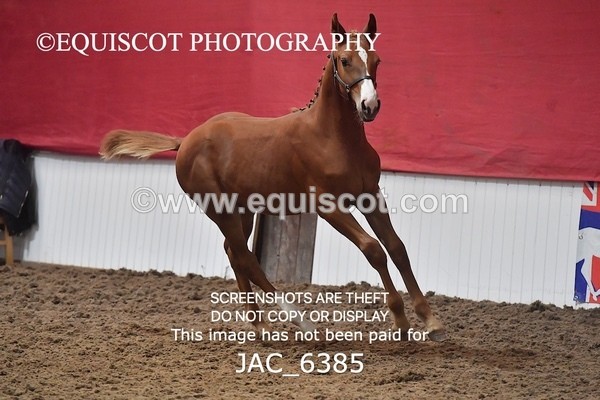 JAC_6385 - 19 Luca