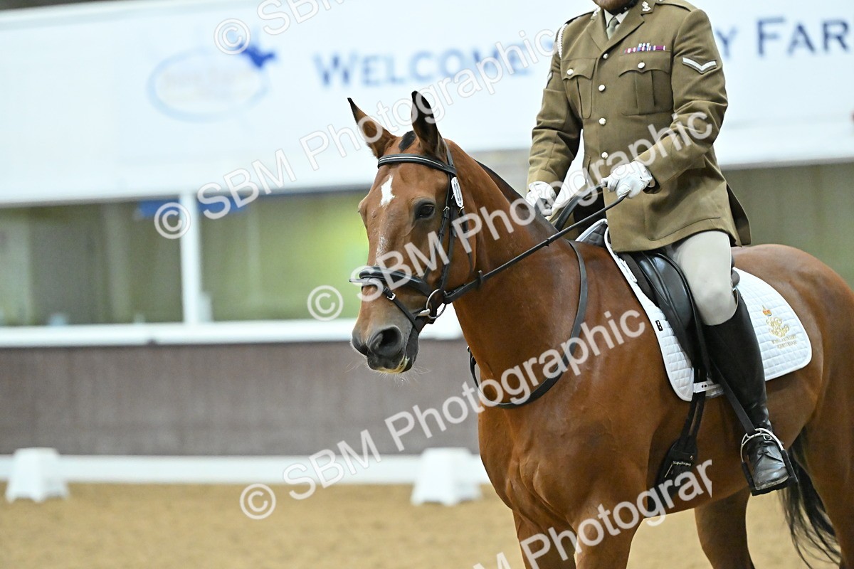 SBM_007424 - Class 81 - Novice 3