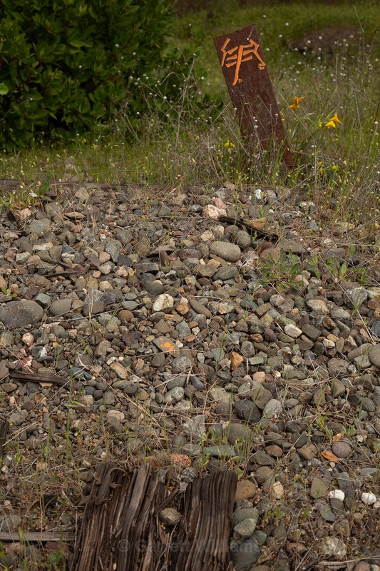 Lizard - Abandoned Line