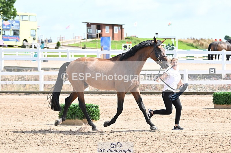 240717A-154327-03012 - Trot Up 3pm to 4pm