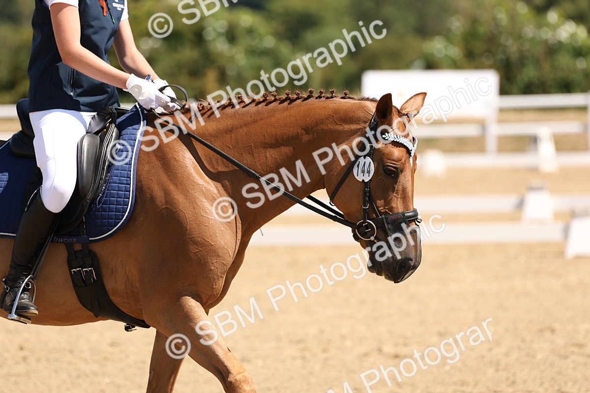 SBM_001233 - Intro 2