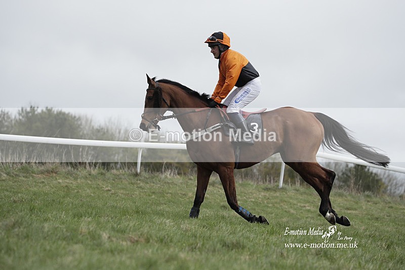 PtP 260323 0670 - New Forest Hounds Point-to-Point Larkhill 26/03/23