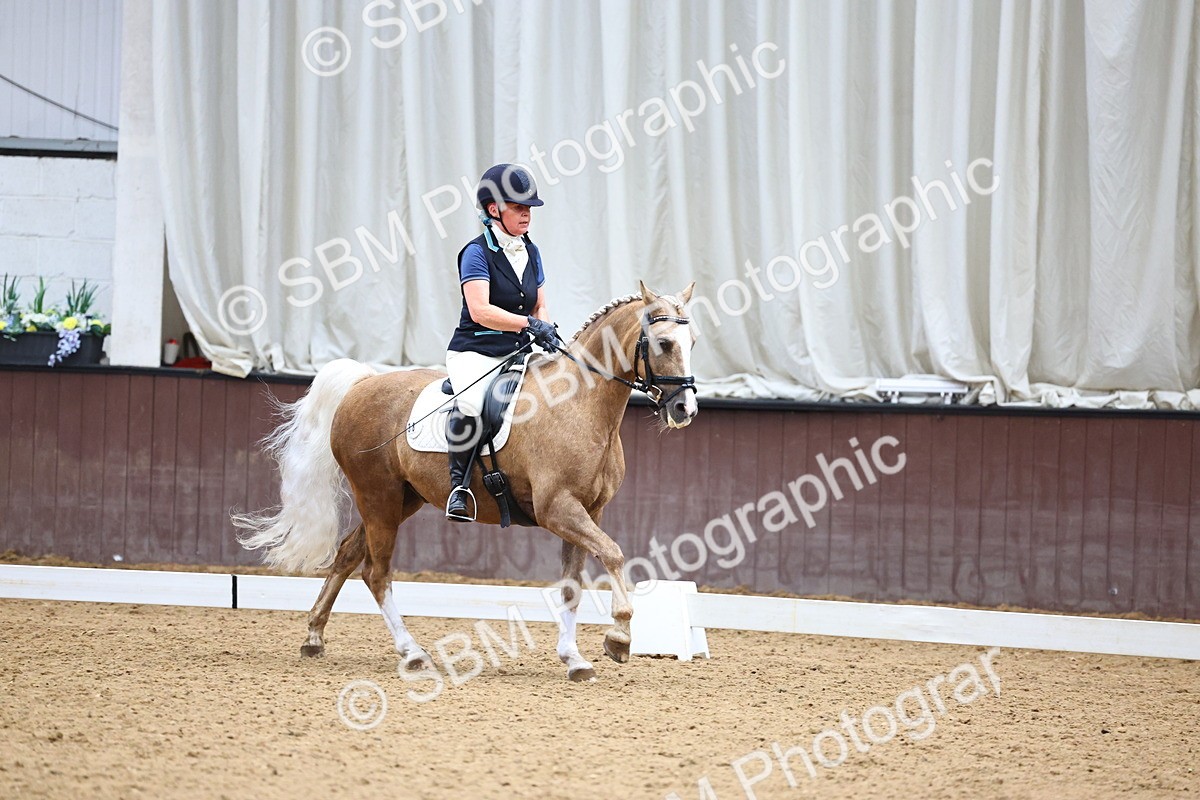 SBM_005580 - Elementary 2