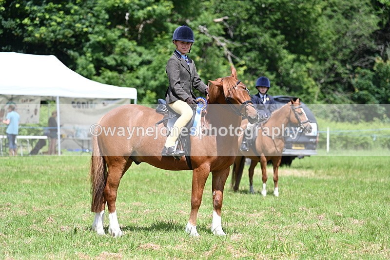 WJ7_1791 - Class 9 Pony Club Pony