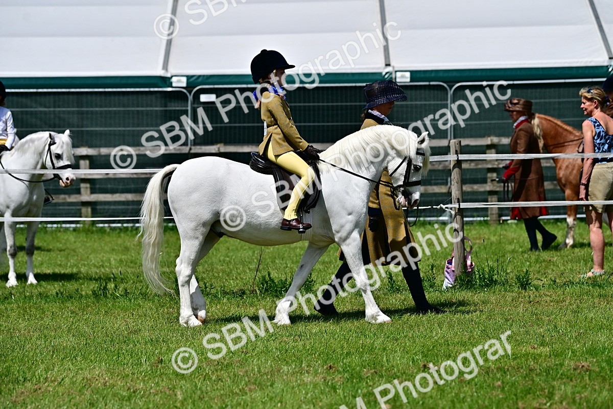 SBM_05732 - Class 59-60 - TSR M&M  Lear Rein and First Ridden Amateur of the year