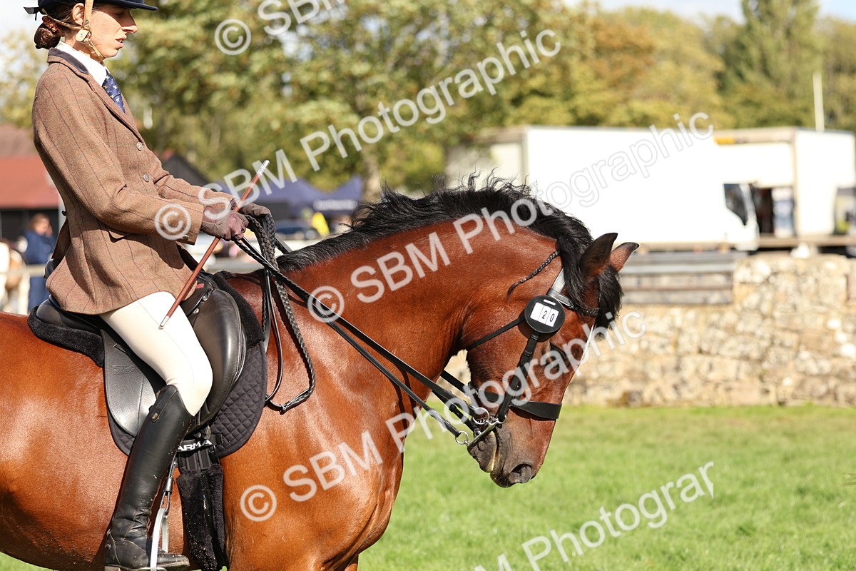 SBM_47843 - S28 - Veteran Ridden