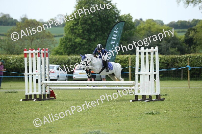 20260426-2111 - Class 15 - Absolute Novice 70cm